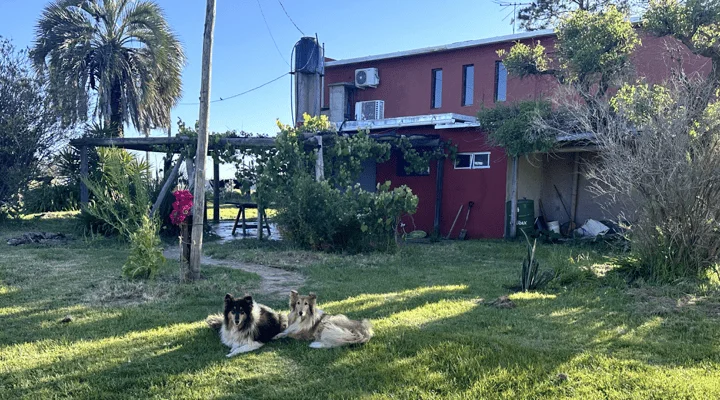 Galería
